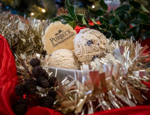 Purbecks festive ice cream flavours are back for Winter 2024.