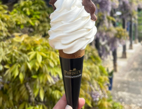 🍂 Purbeck Ice Cream: A Dorset Seasonal Story – From Summer Scoops to Cosy Winter Pubs
