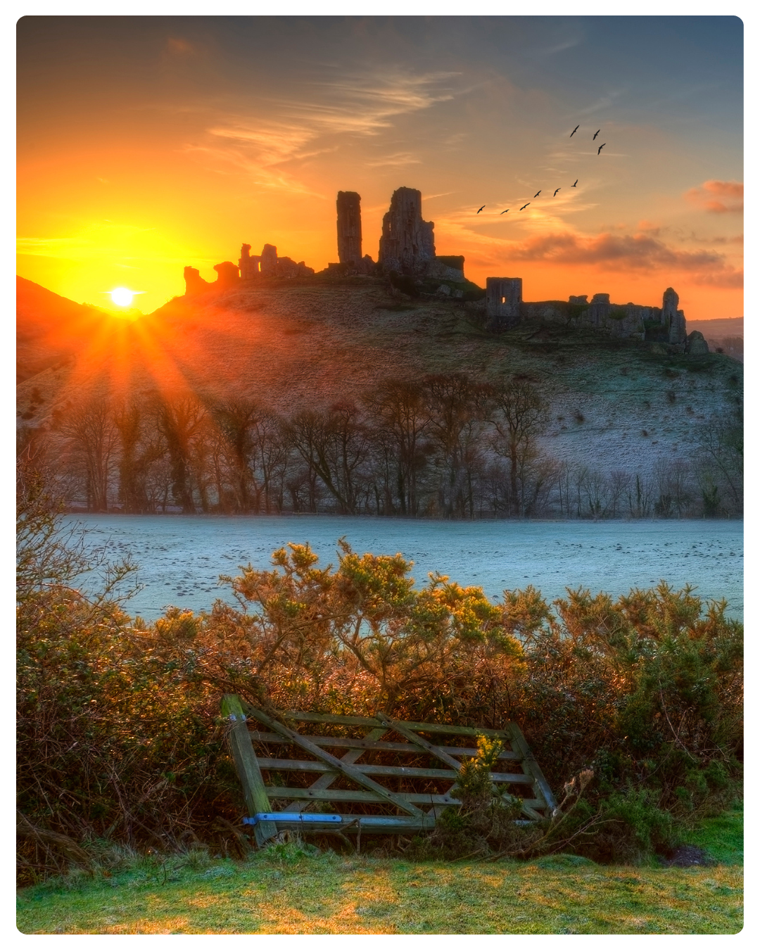 Corfe Castle