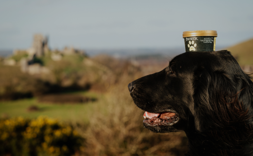 Pawbeck - Dog Iced Treat